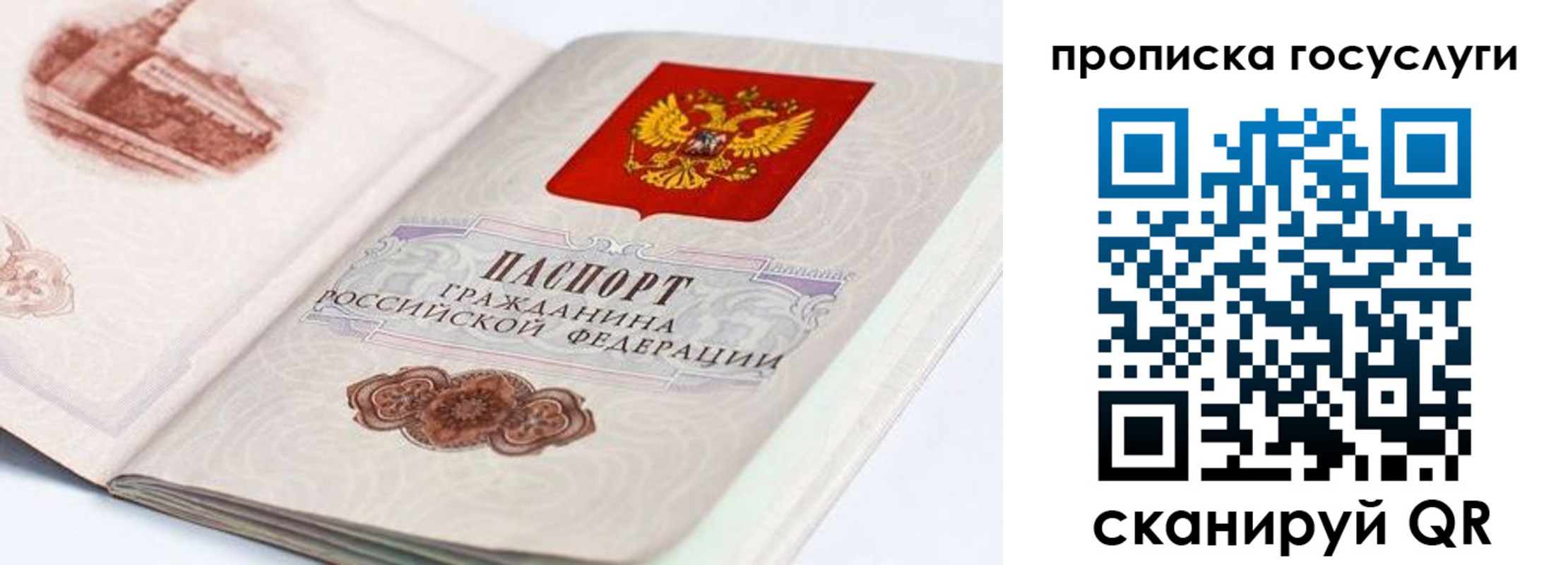 прописка гарантия в Абакане